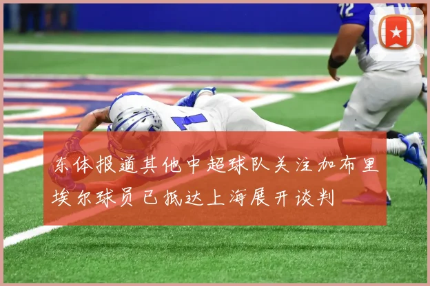 东体报道其他中超球队关注加布里埃尔球员已抵达上海展开谈判